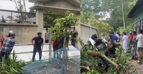 দেবিদ্বারে পুলিশ সদস্যের বিরুদ্ধে বসত বাড়ির ভাঙচুর ও গাছপালা কাটার অভিযোগ