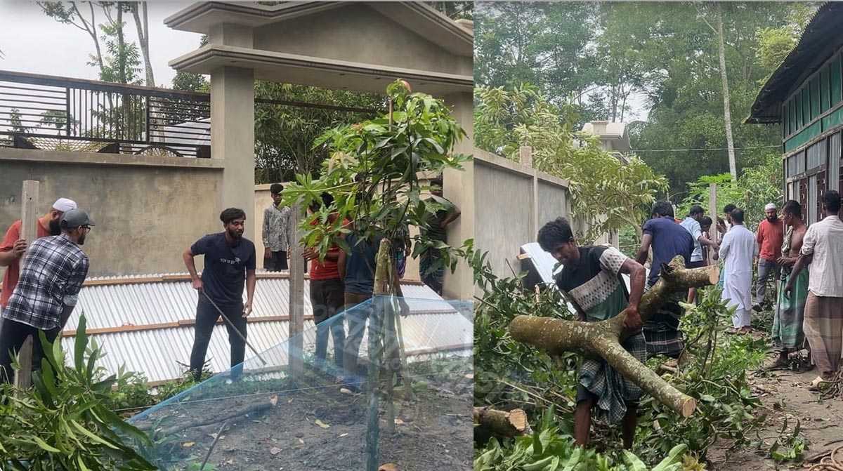 দেবিদ্বারে পুলিশ সদস্যের বিরুদ্ধে বসত বাড়ির ভাঙচুর ও গাছপালা কাটার অভিযোগ