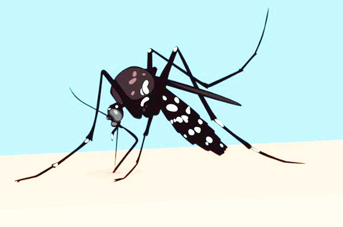 ডেঙ্গুতে ২৪ ঘণ্টায় ৫ জনের মৃত্যু