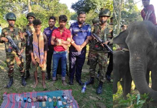 কুমিল্লায় হাতি দিয়ে চাঁদাবাজির অভিযোগে হাতিসহ ২ জন আটক