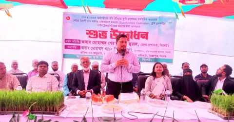 জৈন্তাপুরে রাইস ট্রান্সপ্লান্টারের মাধ্যমে বোরো চারা রোপনের শুচনা